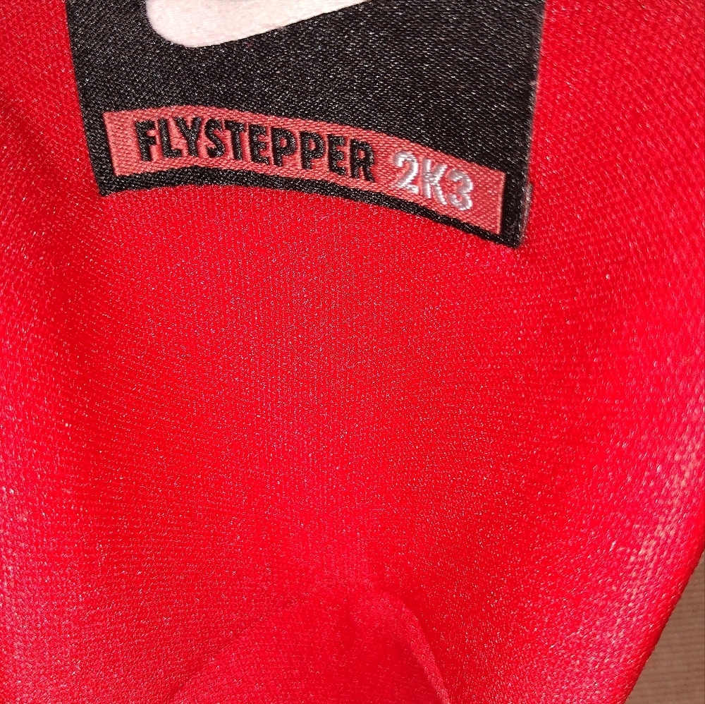 AUTHENTIC NIKE FLYSTEPPER 2K3- RED